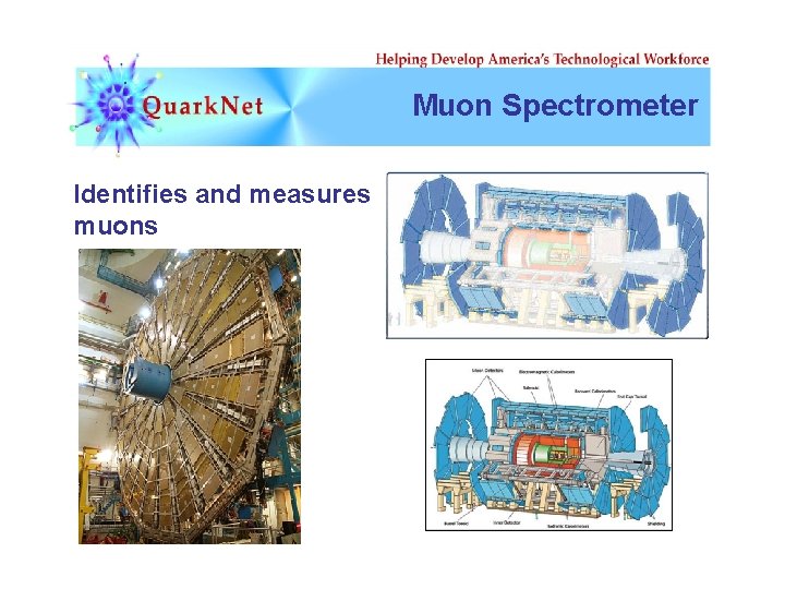 Muon Spectrometer Identifies and measures muons 