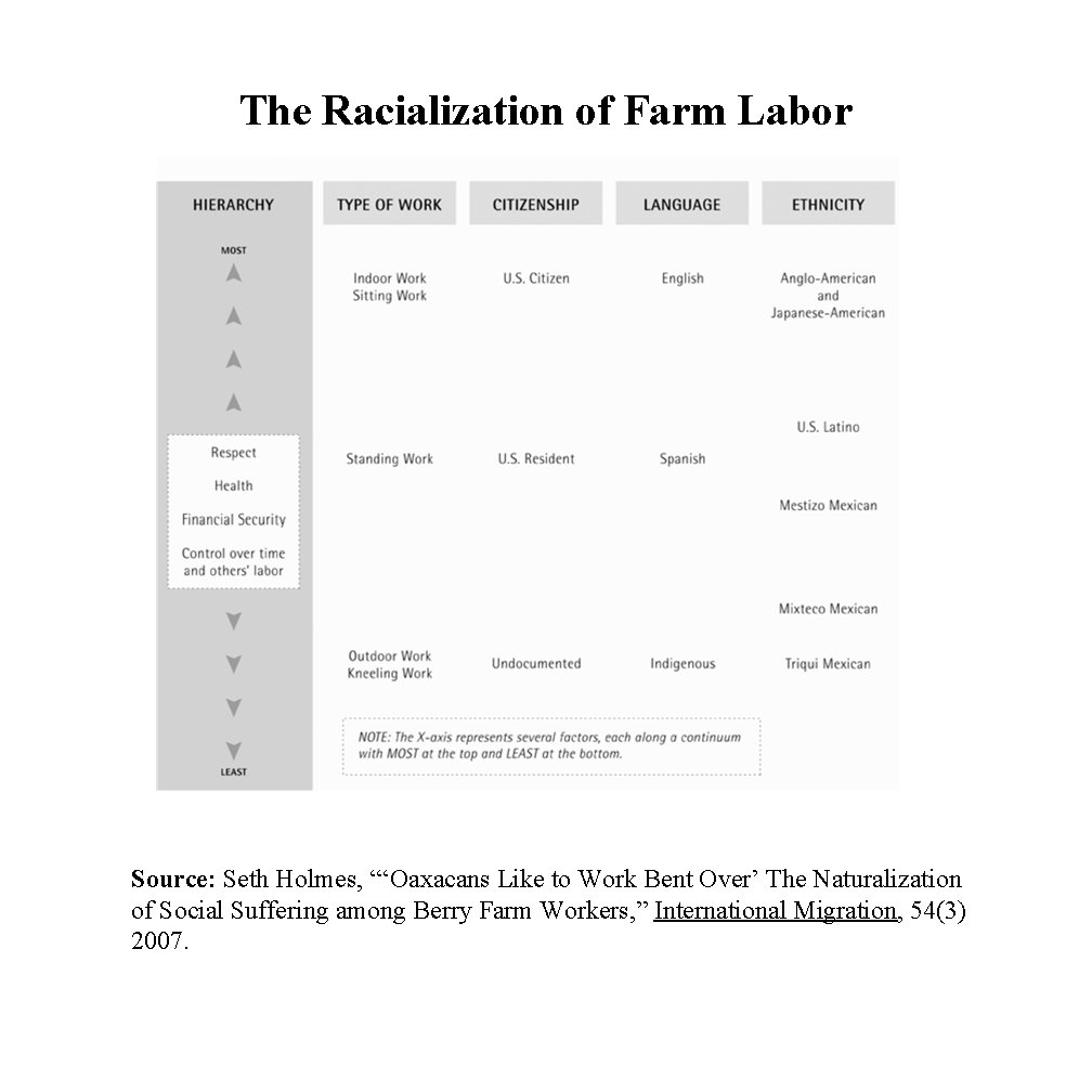 The Racialization of Farm Labor Figure 3: Conceptual Diagram of Hierarchies on the farm