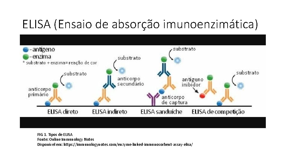 ELISA (Ensaio de absorção imunoenzimática) FIG 1. Tipos de ELISA Fonte: Online Immunology Notes