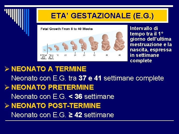 ETA’ GESTAZIONALE (E. G. ) Intervallo di tempo tra il 1° giorno dell’ultima mestruazione