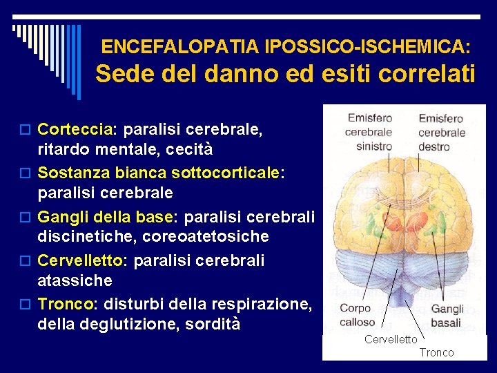 ENCEFALOPATIA IPOSSICO-ISCHEMICA: Sede del danno ed esiti correlati o Corteccia: paralisi cerebrale, o o