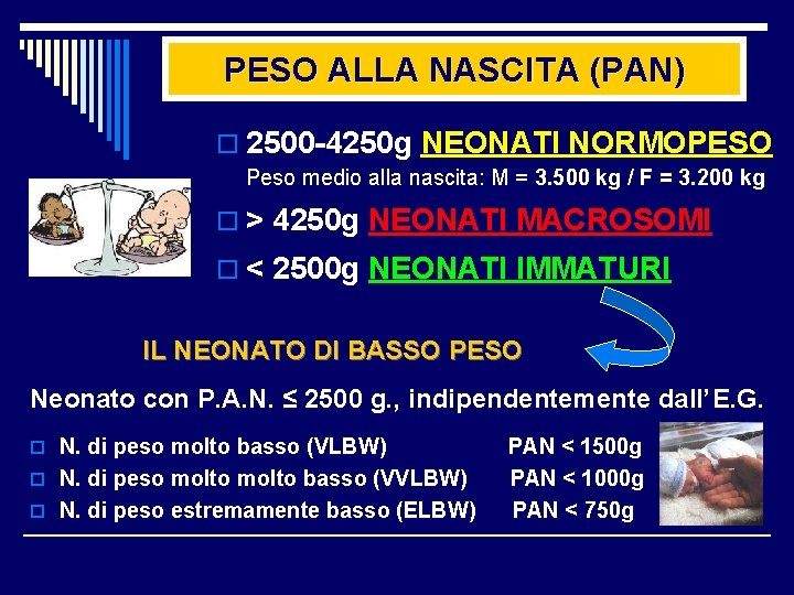 PESO ALLA NASCITA (PAN) o 2500 -4250 g NEONATI NORMOPESO Peso medio alla nascita: