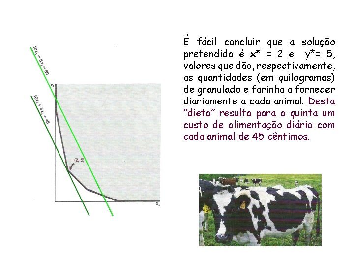 É fácil concluir que a solução pretendida é x* = 2 e y*= 5,