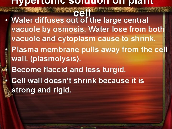 Hypertonic solution on plant cell • Water diffuses out of the large central vacuole