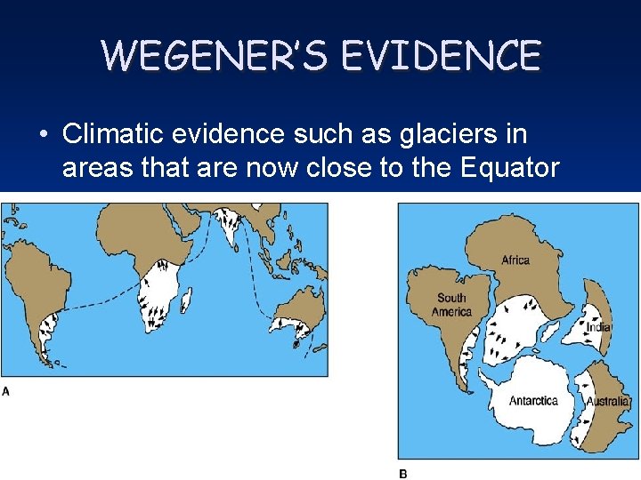 WEGENER’S EVIDENCE • Climatic evidence such as glaciers in areas that are now close