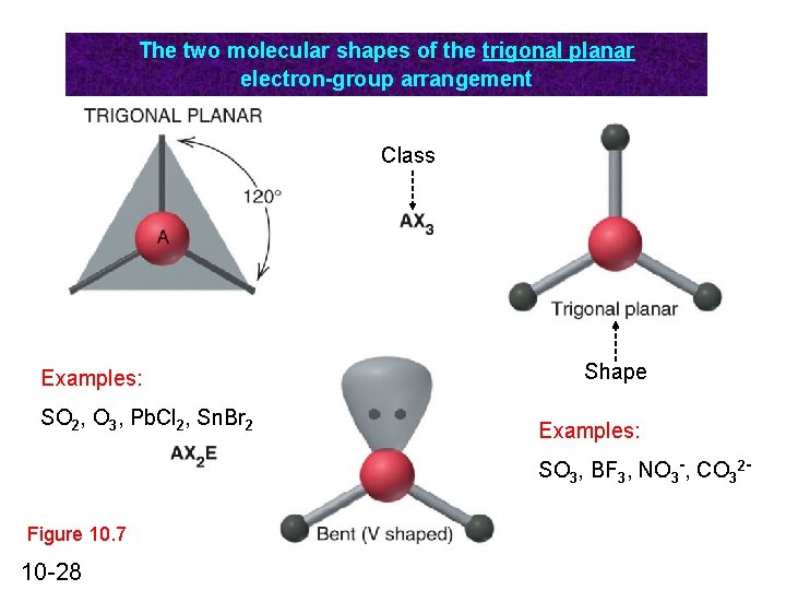 The two molecular shapes of the trigonal planar electron-group arrangement Class Examples: SO 2,