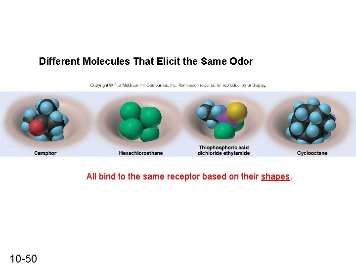 Different Molecules That Elicit the Same Odor All bind to the same receptor based