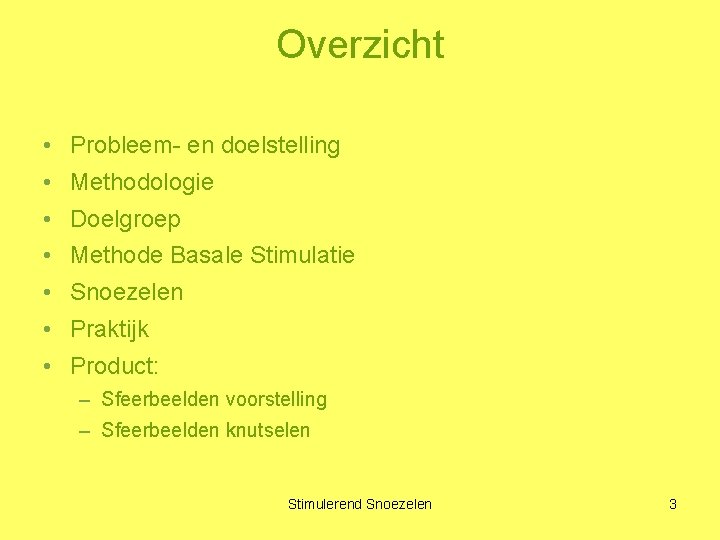 Overzicht • Probleem- en doelstelling • Methodologie • Doelgroep • Methode Basale Stimulatie •