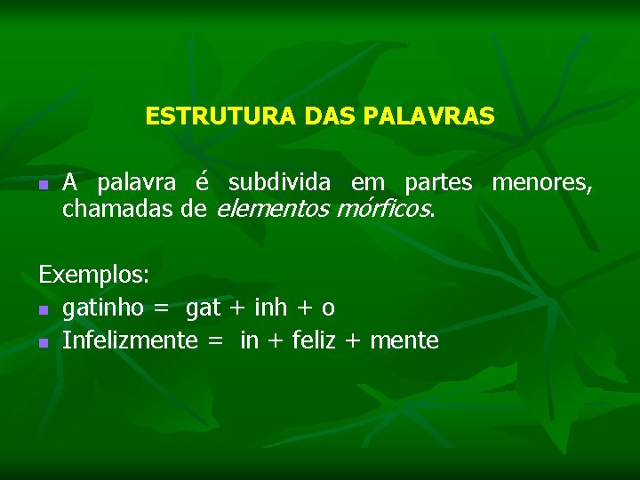 ESTRUTURA DAS PALAVRAS n A palavra é subdivida em partes menores, chamadas de elementos