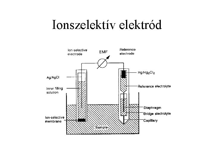 Ionszelektív elektród 
