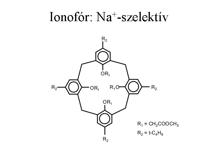 Ionofór: Na+-szelektív 