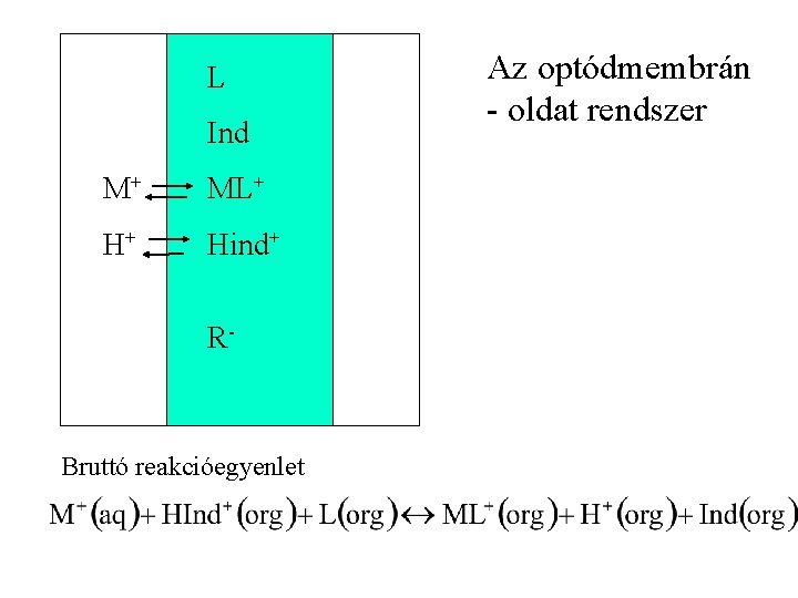 L Ind M+ ML+ H+ Hind+ R- Bruttó reakcióegyenlet Az optódmembrán - oldat rendszer