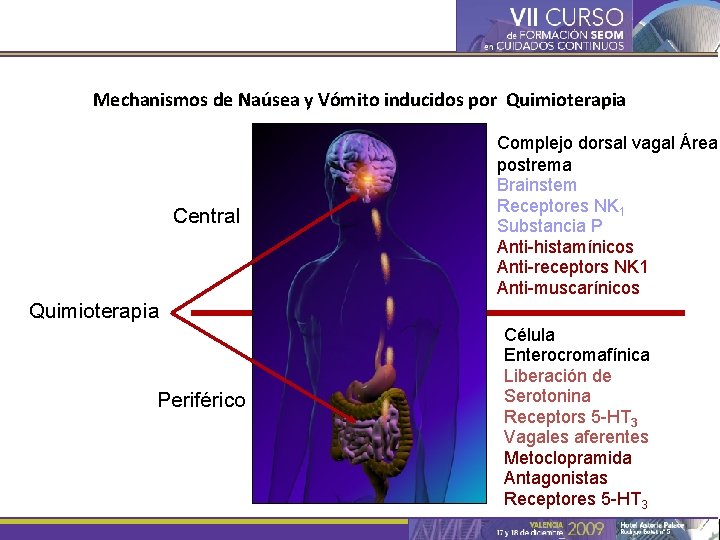  Mechanismos de Naúsea y Vómito inducidos por Quimioterapia Central Complejo dorsal vagal Área