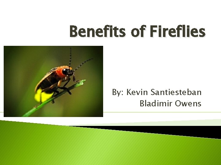 Benefits of Fireflies By: Kevin Santiesteban Bladimir Owens 