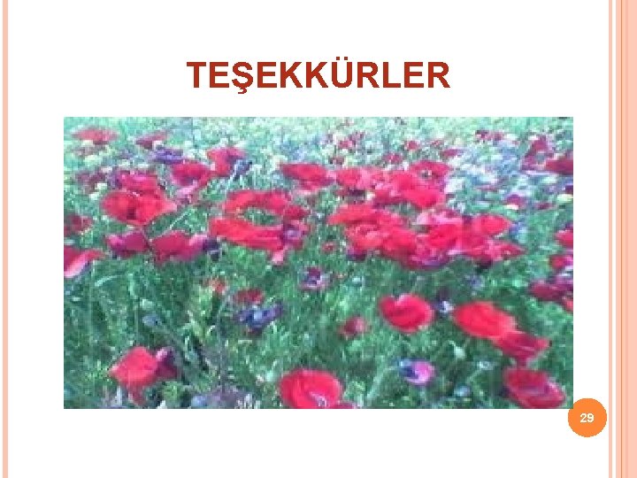 TEŞEKKÜRLER 29 