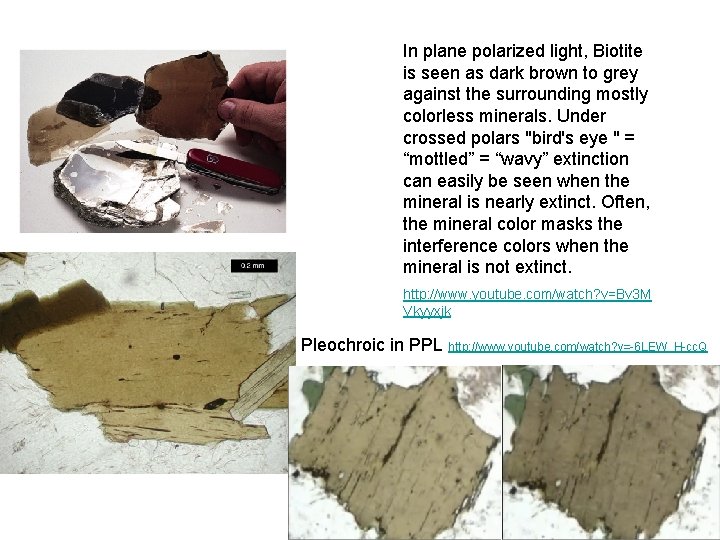 In plane polarized light, Biotite is seen as dark brown to grey against the