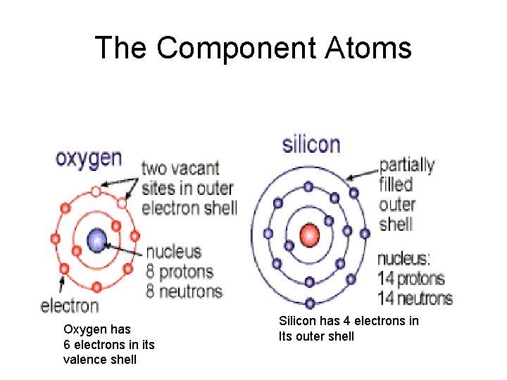 The Component Atoms Oxygen has 6 electrons in its valence shell Silicon has 4