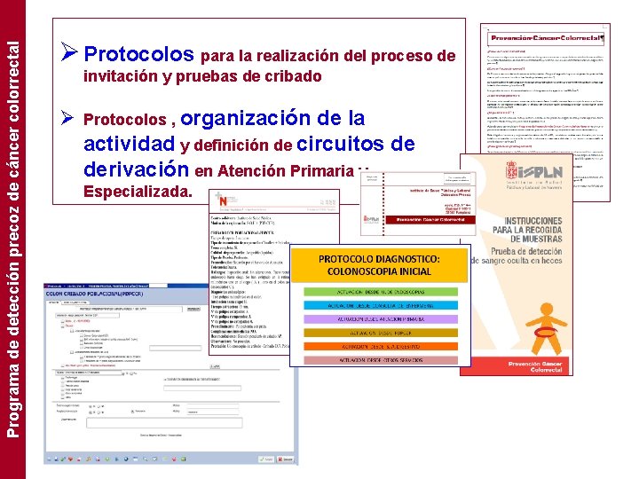 Programa de detección precoz de cáncer colorrectal Ø Protocolos para la realización del proceso
