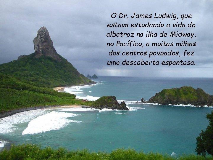 O Dr. James Ludwig, que estava estudando a vida do albatroz na ilha de