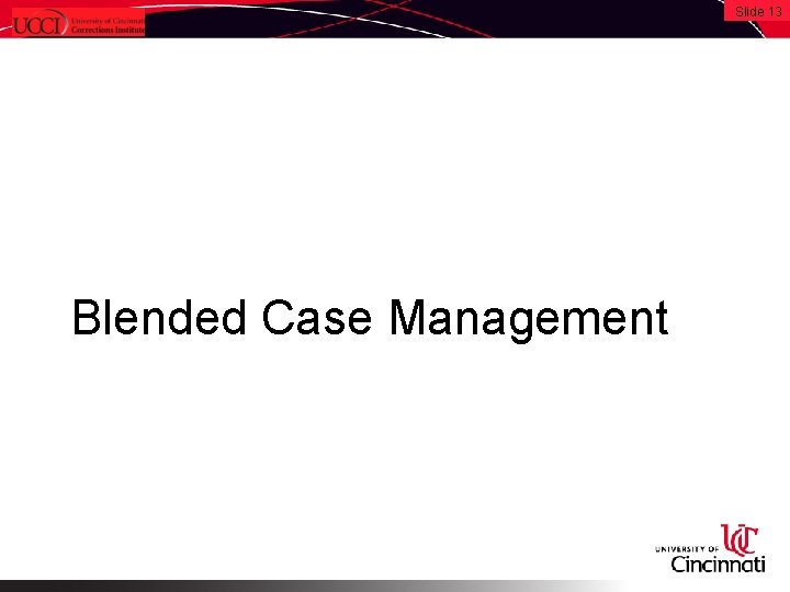 Slide 13 Blended Case Management 