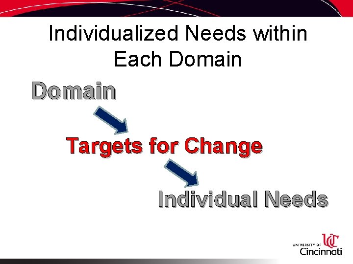 Individualized Needs within Each Domain Targets for Change Individual Needs 