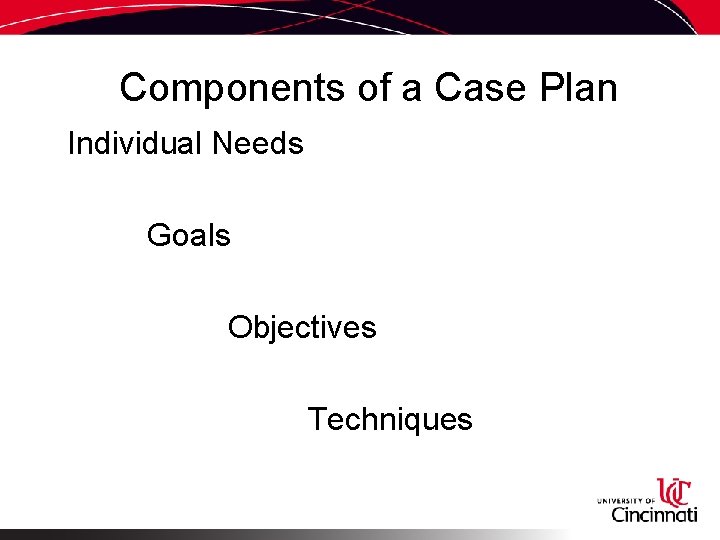 Components of a Case Plan Individual Needs Goals Objectives Techniques 