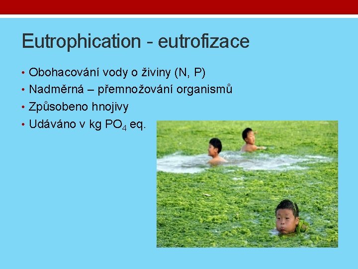 Eutrophication - eutrofizace • Obohacování vody o živiny (N, P) • Nadměrná – přemnožování