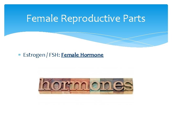 Female Reproductive Parts Estrogen / FSH: Female Hormone 
