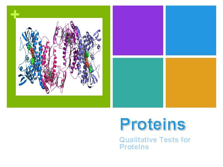 + Proteins Qualitative Tests for Proteins 