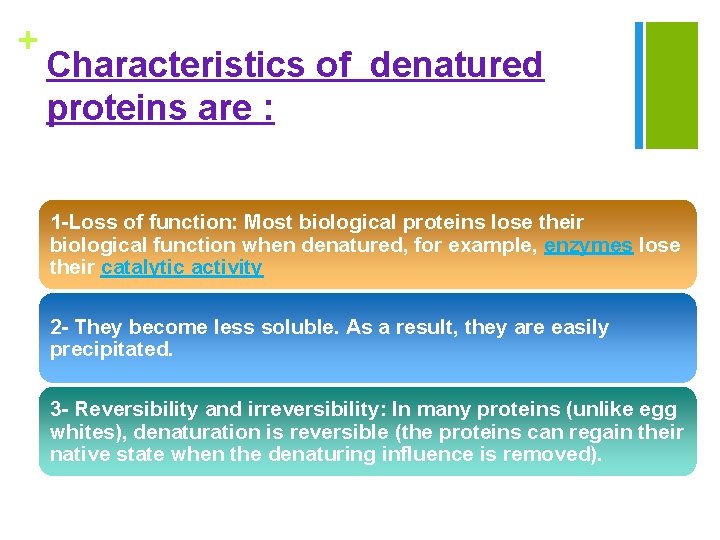 + Characteristics of denatured proteins are : 1 -Loss of function: Most biological proteins