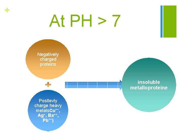 + At PH > 7 Negatively charged proteins insoluble metalloproteine Positevly charge heavy metals.