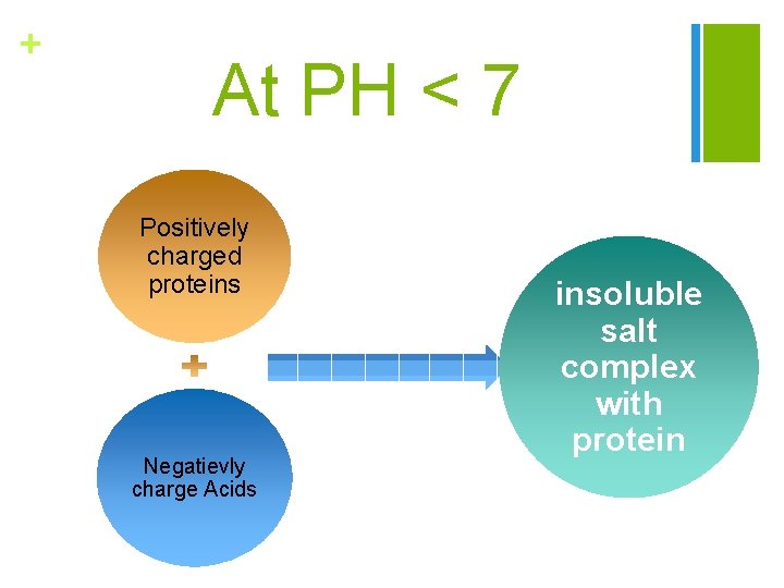 + At PH < 7 Positively charged proteins Negatievly charge Acids insoluble salt complex