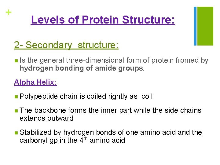 + Levels of Protein Structure: 2 - Secondary structure: n Is the general three-dimensional