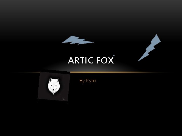 ARTIC FOX By Ryan 