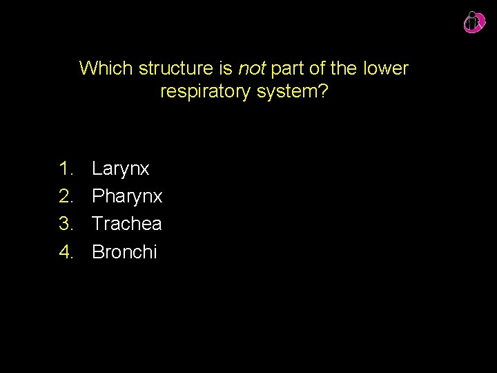 Which structure is not part of the lower respiratory system? 1. 2. 3. 4.