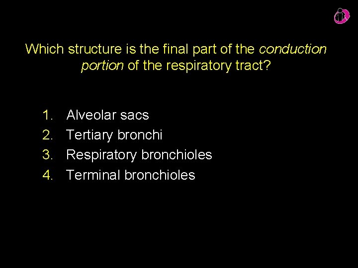 Which structure is the final part of the conduction portion of the respiratory tract?