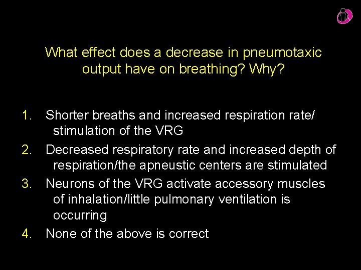 What effect does a decrease in pneumotaxic output have on breathing? Why? 1. Shorter