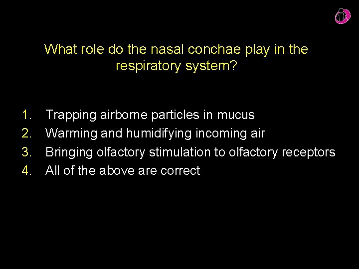 What role do the nasal conchae play in the respiratory system? 1. 2. 3.
