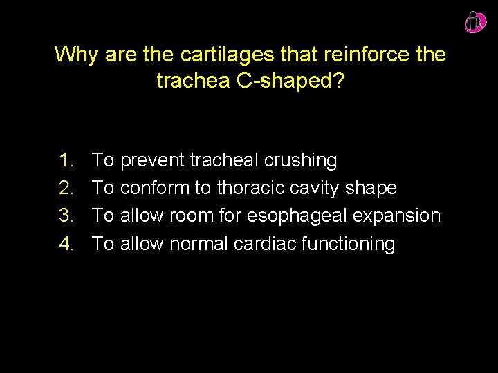 Why are the cartilages that reinforce the trachea C-shaped? 1. 2. 3. 4. To