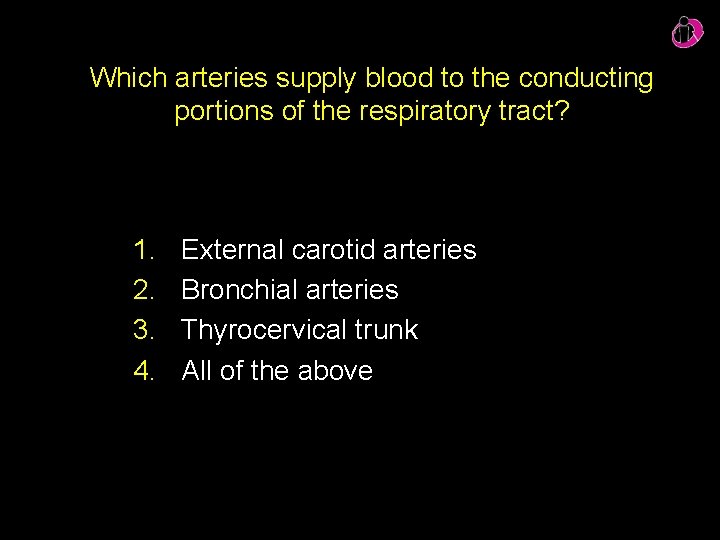 Which arteries supply blood to the conducting portions of the respiratory tract? 1. 2.