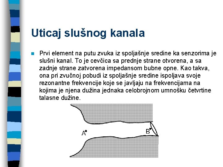 Uticaj slušnog kanala n Prvi element na putu zvuka iz spoljašnje sredine ka senzorima