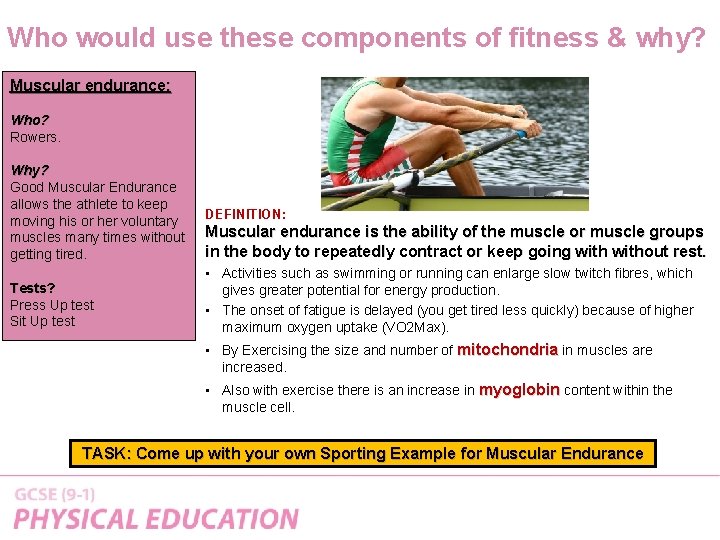 Who would use these components of fitness & why? Muscular endurance: Who? Rowers. Why?