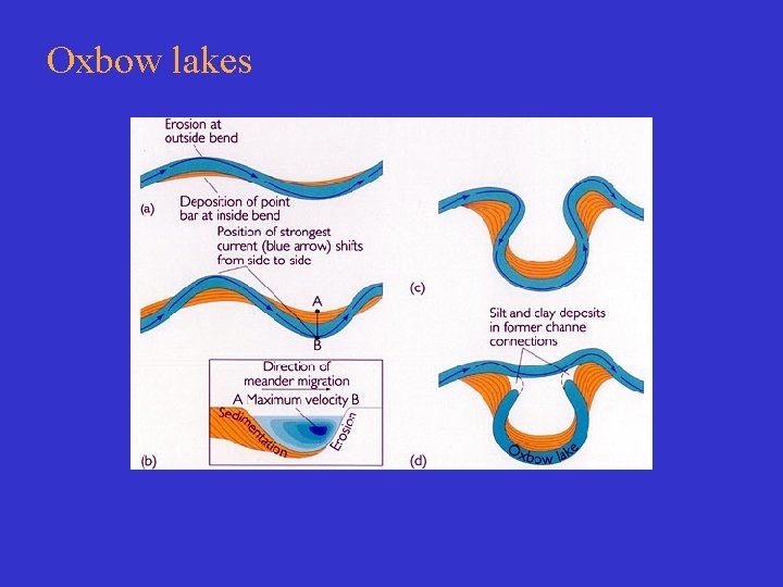 Oxbow lakes 