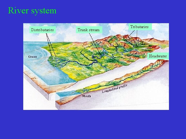 River system Distributaries Trunk stream Tributaries Headwater 