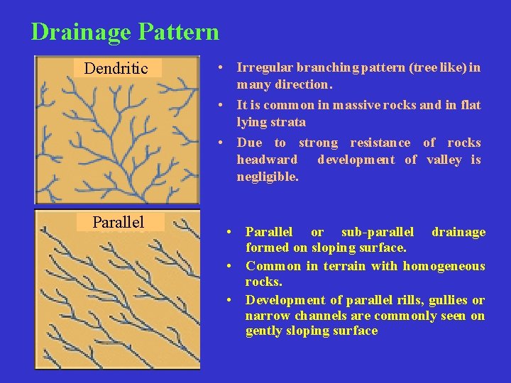 Drainage Pattern Dendritic Parallel • Irregular branching pattern (tree like) in many direction. •