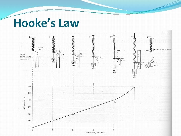 Hooke’s Law 