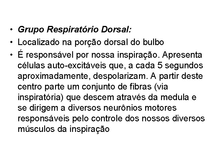  • Grupo Respiratório Dorsal: • Localizado na porção dorsal do bulbo • É