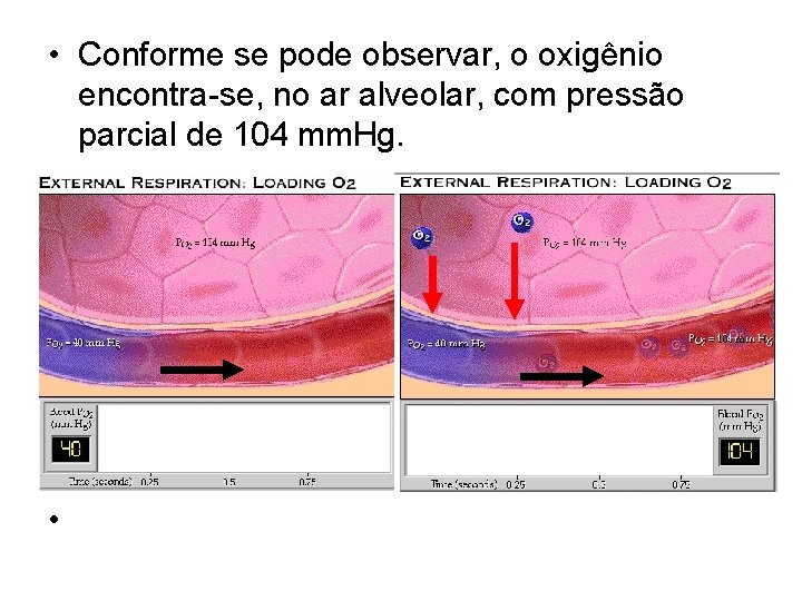  • Conforme se pode observar, o oxigênio encontra-se, no ar alveolar, com pressão