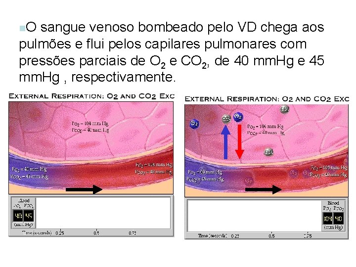 n. O sangue venoso bombeado pelo VD chega aos pulmões e flui pelos capilares