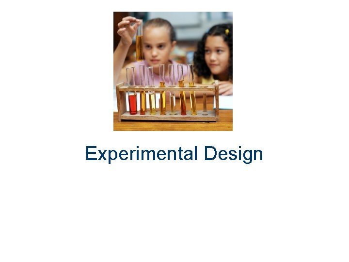 Experimental Design 